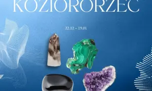 Koziorożec jaki kamień: Najlepsze kamienie dla znaku Koziorożca