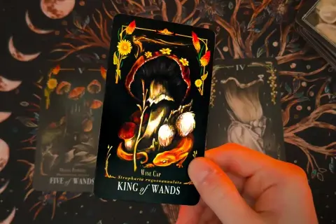 Jakie sekrety kryje Twoja przyszłość? Tarot wróżba to odkryje