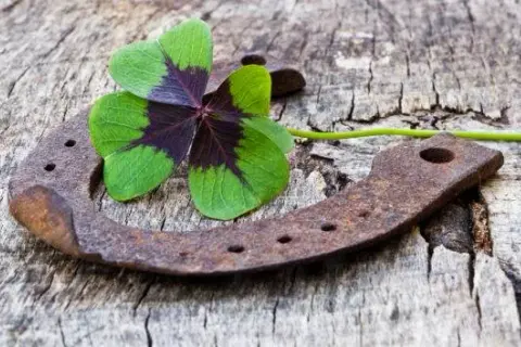 Czy podkowa naprawdę przynosi szczęście? Poznaj sekrety tego talizmanu!