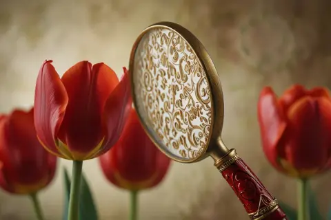 Ukryte znaczenie tulipana: Jaki symbol kryje ten piękny kwiat?